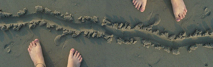 BIM Surpassing Boundaries